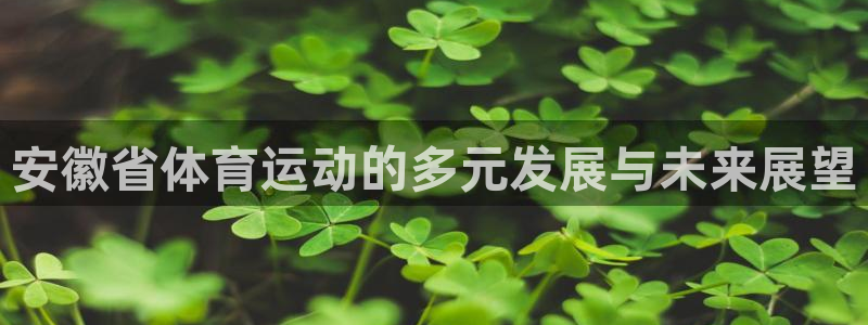 betway西汉姆官网：安徽省体育运动的多元发展与未来展望