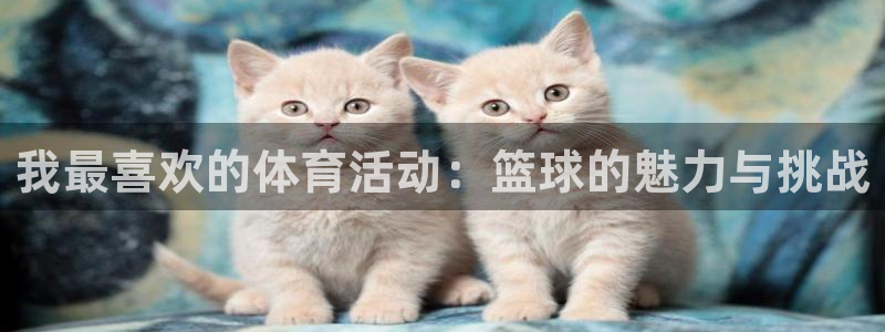 betway西汉姆：我最喜欢的体育活动：篮球的魅力与挑战