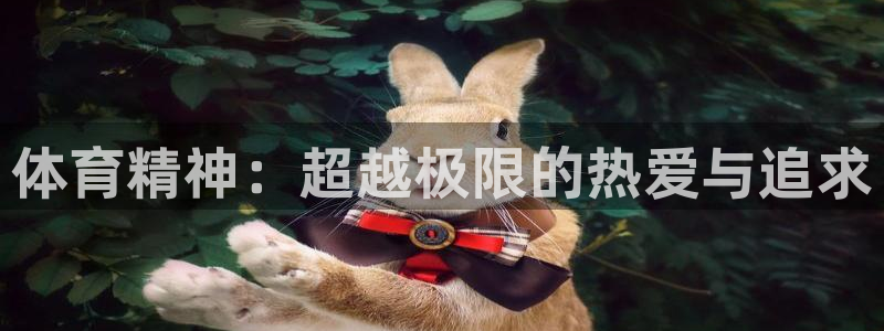 betway西汉姆：体育精神：超越极限的热爱与追求