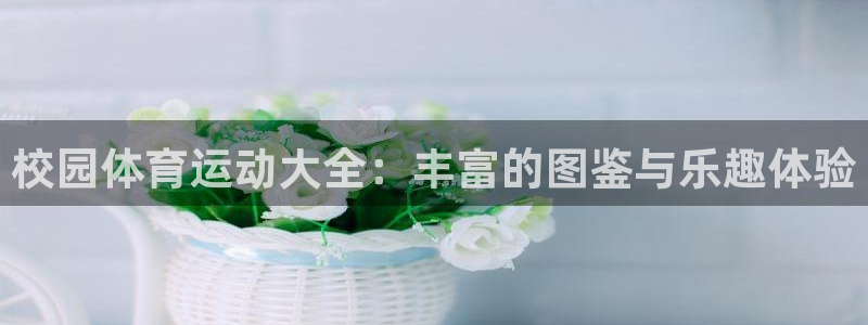 betway西汉姆：校园体育运动大全：丰富的图鉴与乐趣体验
