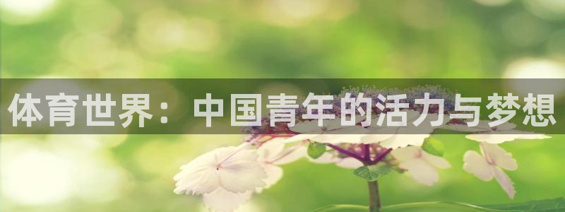 betway西汉姆：体育世界：中国青年的活力与梦想