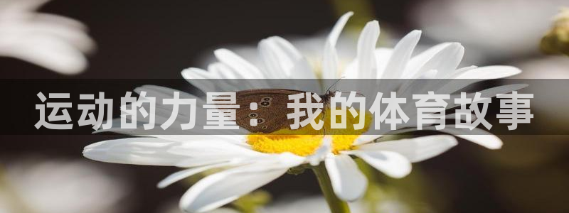 betway西汉姆联官网