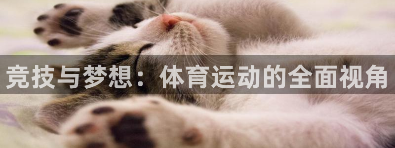 betway西汉姆联：竞技与梦想：体育运动的全面视角