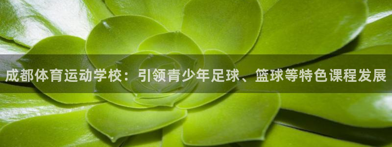 betway西汉姆：成都体育运动学校：引领青少年足球、篮球等特色课程发展