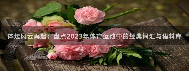 必威betway西汉姆联：体坛风云再起：盘点2023年体育运动中的经典词汇与语料库